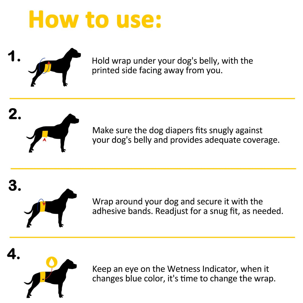 Dono size range covers small to large dogs for daily use