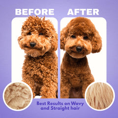 Dood Woof brush-ready tangle removal aids smooth grooming sessions.