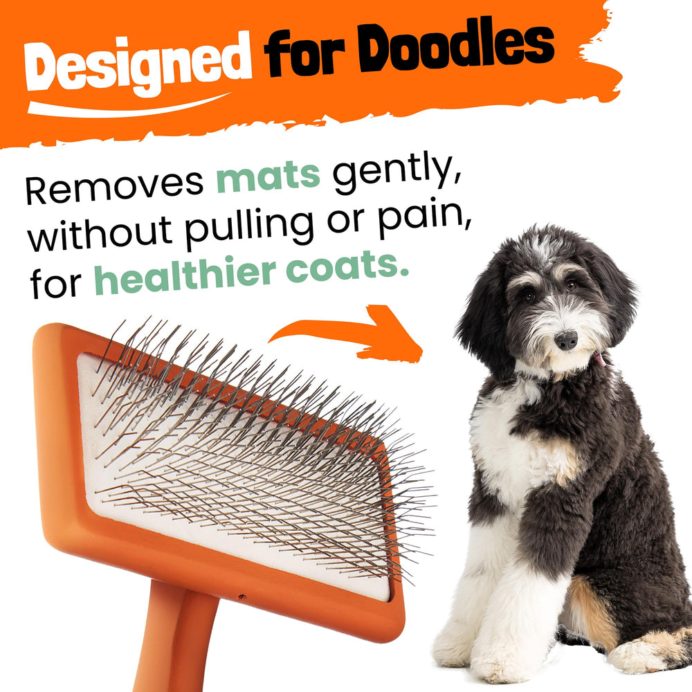 DOODLEEZ Goldendoodle kit case shows complete grooming set with brush and comb