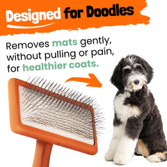 DOODLEEZ Goldendoodle kit case shows complete grooming set with brush and comb