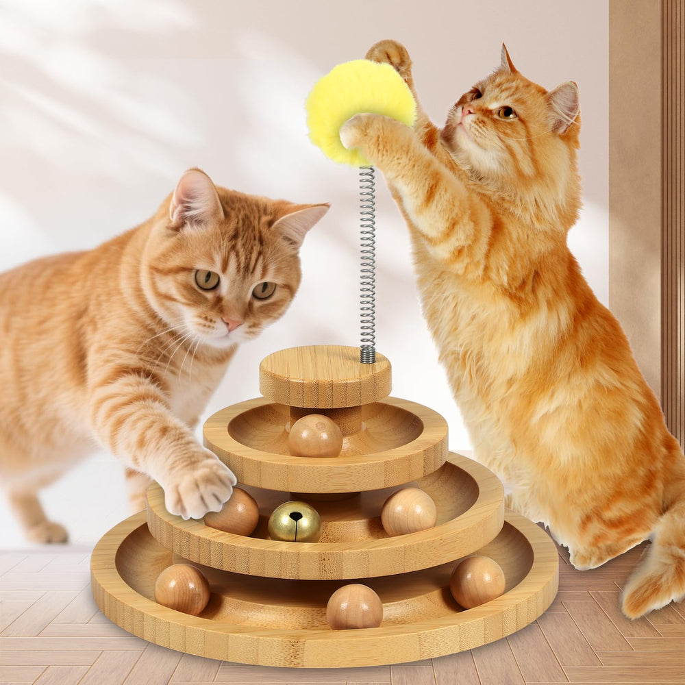 DoogCat cat-ball-track suitable for multiple cats during shared sessions.