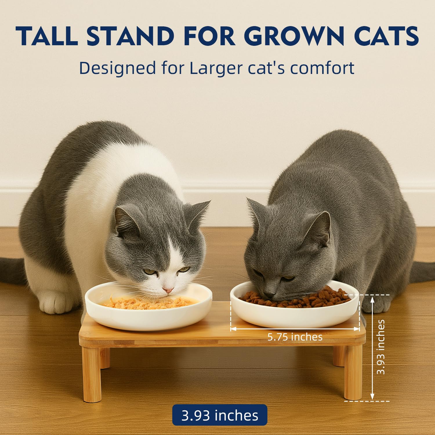 DoogCat ceramic bowls for food and water with whisker-friendly wide bowls