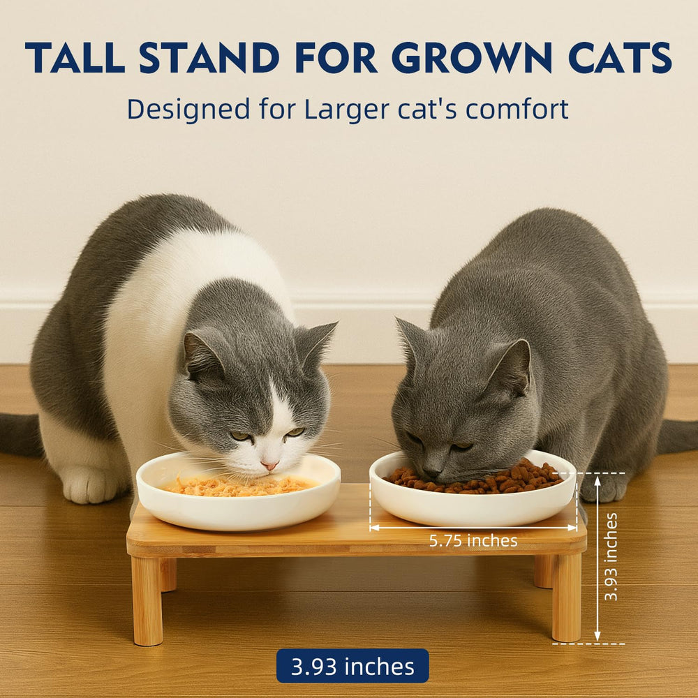 DoogCat ceramic bowls for food and water with whisker-friendly wide bowls