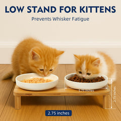 DoogCat adjustable height settings to fit kittens and adult cats