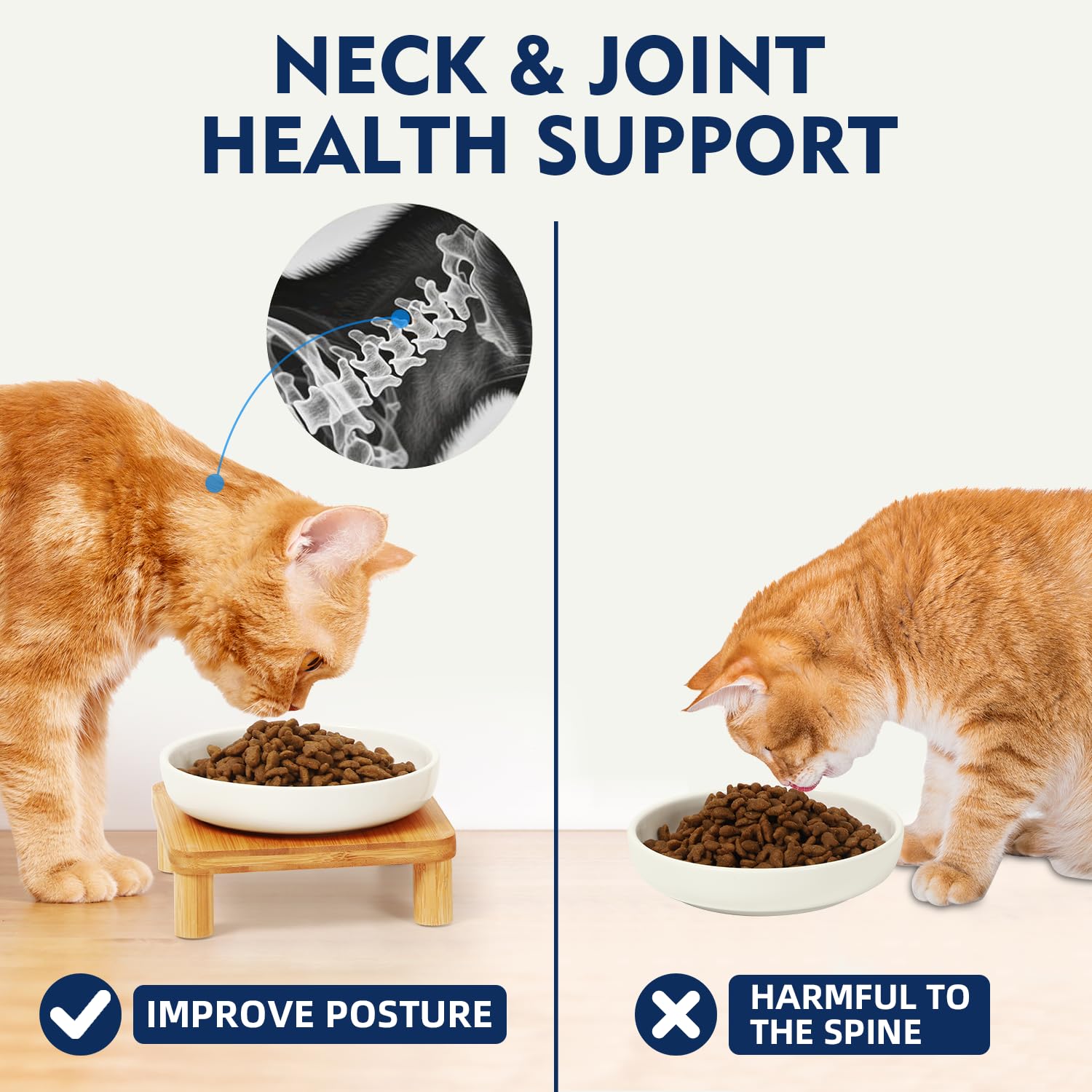 DoogCat whisker-friendly bowls promote easy dining for flat-faced breeds.