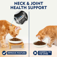 DoogCat whisker-friendly bowls promote easy dining for flat-faced breeds.