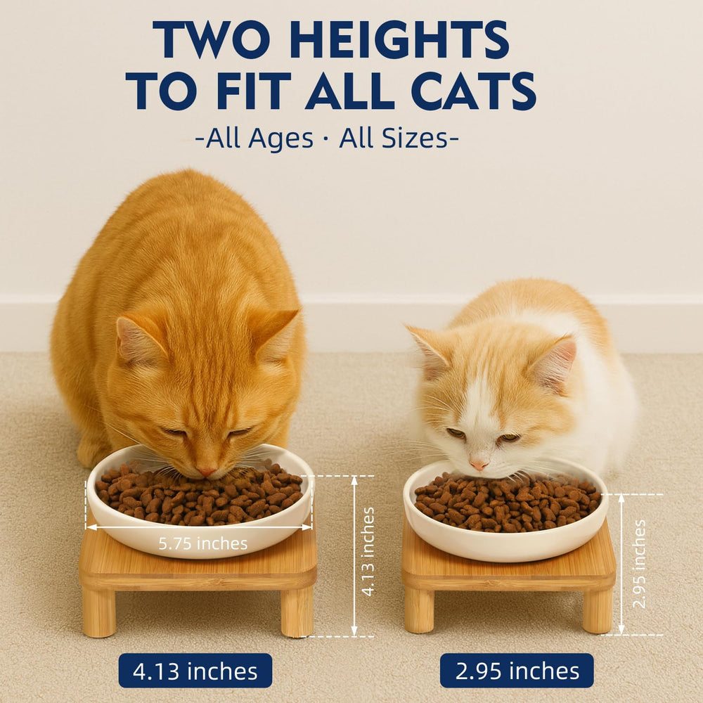 DoogCat wide ceramic dishes at 5.75 inches help reduce whisker fatigue.