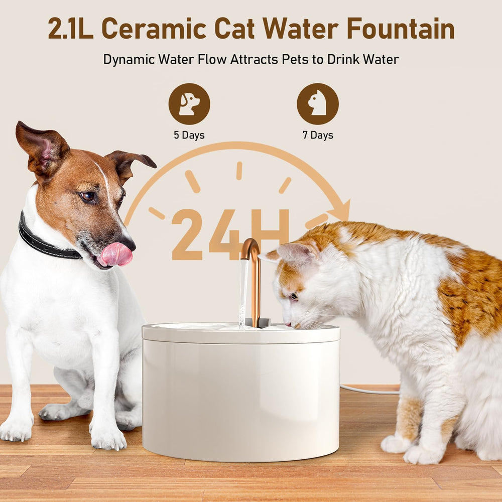 DOOOB ceramic cat fountain bubble stream activating hydrating motion