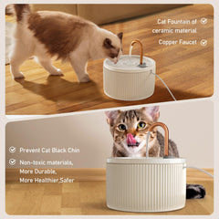 DOOOB ceramic fountain pump close-up emphasizes ultra-quiet operation.