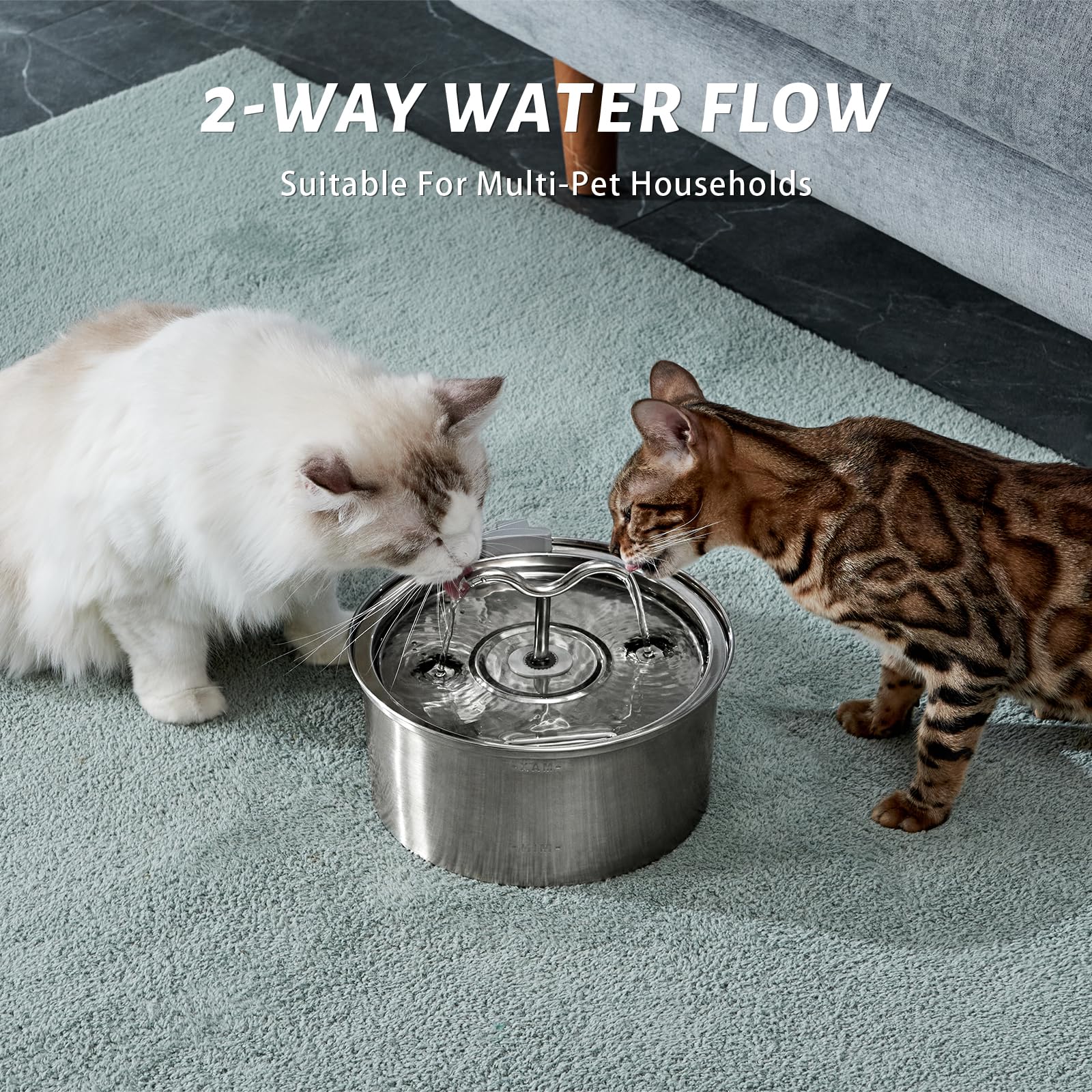 DOOOB two water modes attract pets to drink more water.