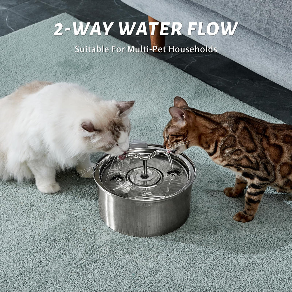 DOOOB two water modes attract pets to drink more water.