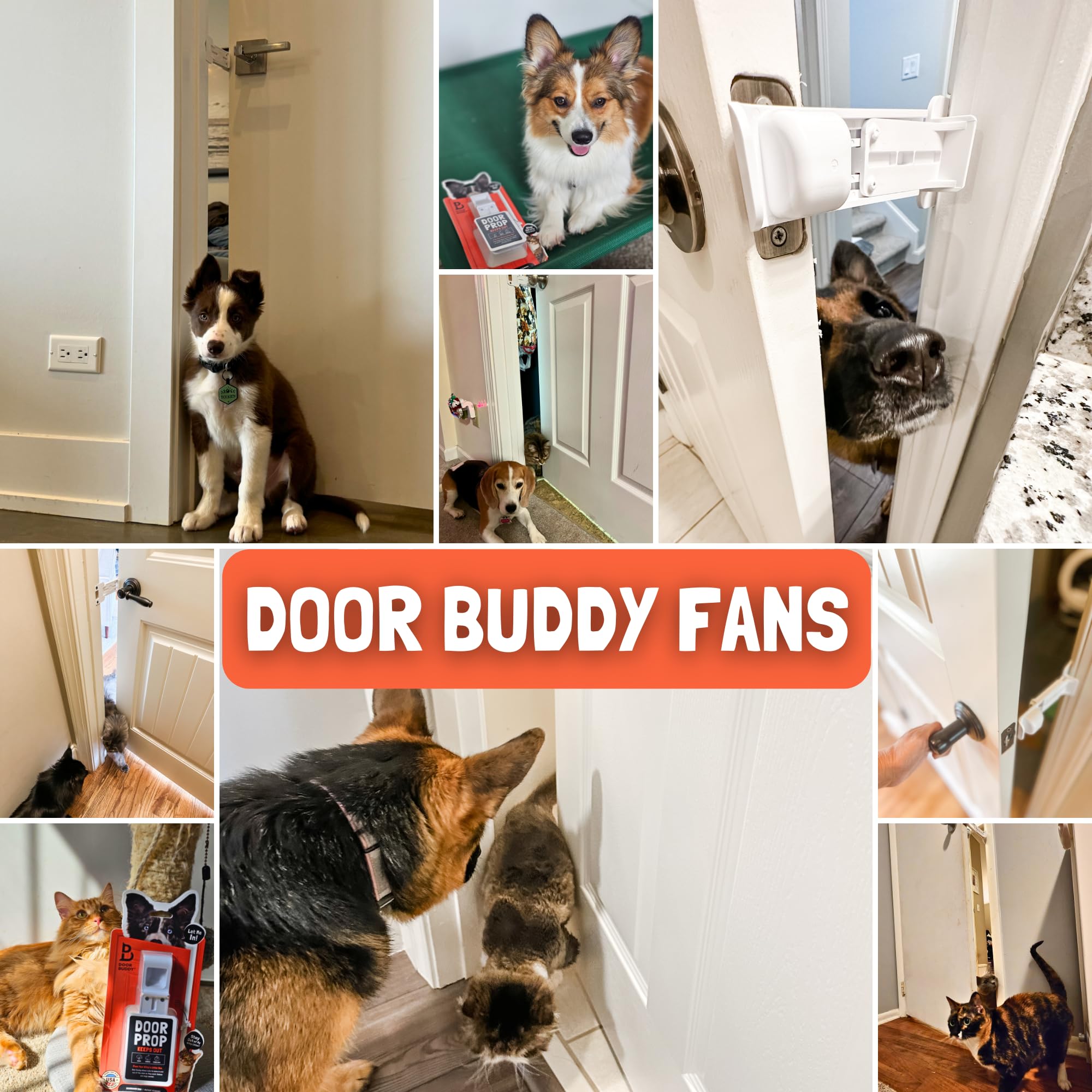 Door Buddy, patented and made in the USA, trusted by pet owners.