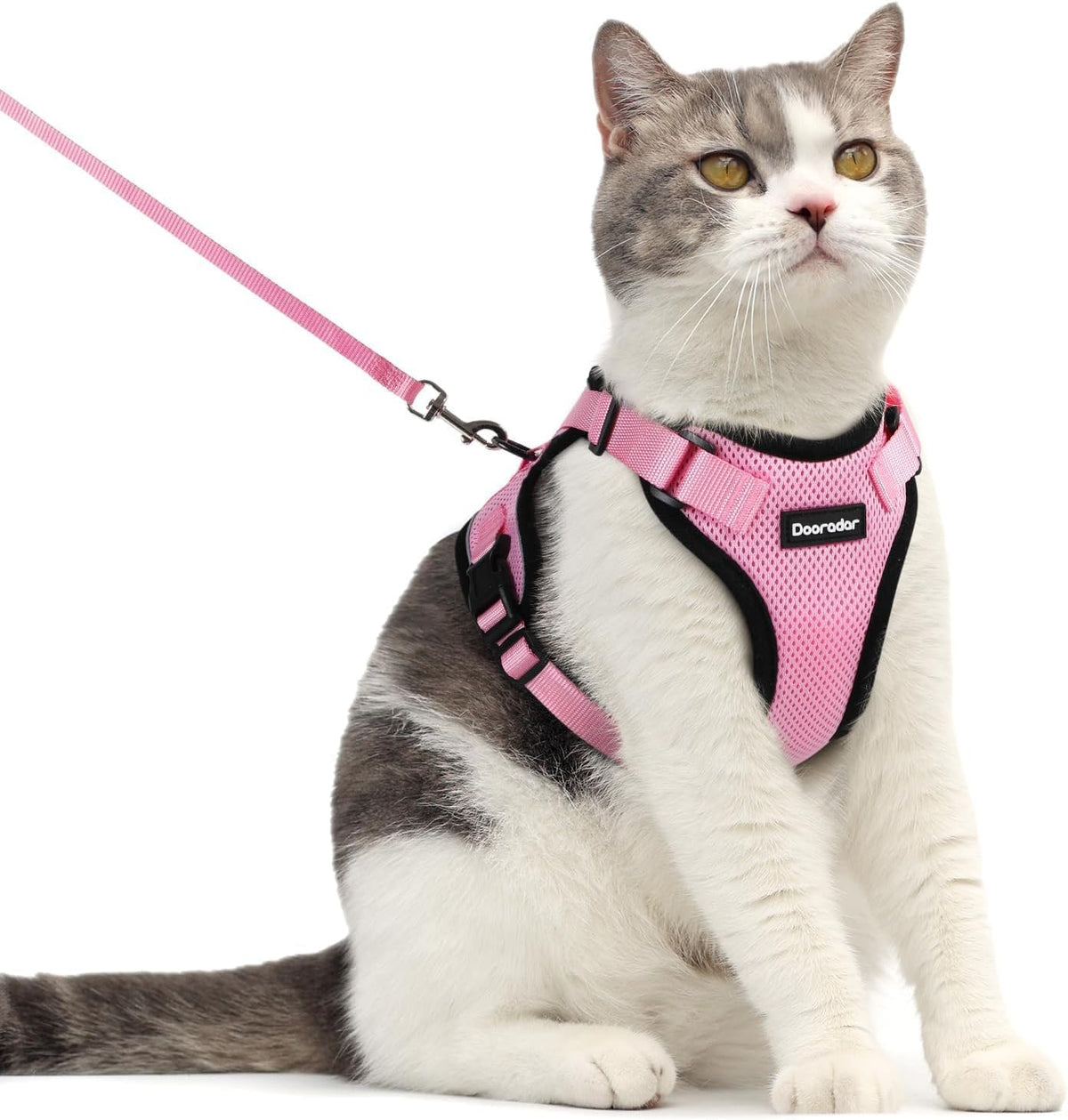 Dooradar cat harness with back D-ring leash for secure outdoor walks