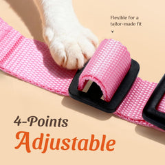Dooradar breathable mesh material keeps cat cool during outdoor sessions
