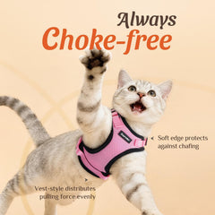Dooradar cat harness with reflective strips enhances night safety.