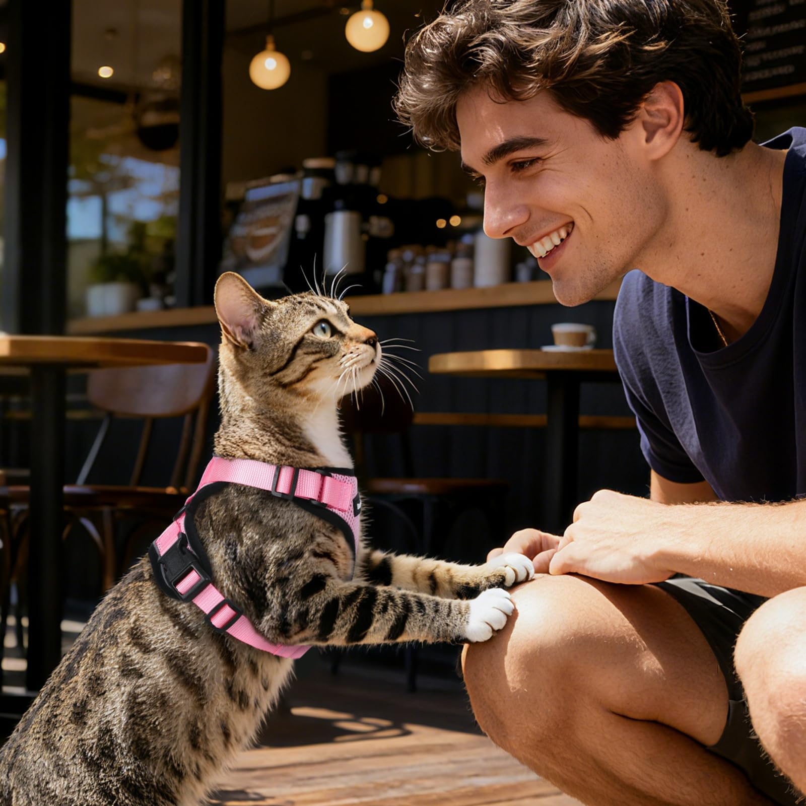 Dooradar pink cat walking harness in size S for secure outings.