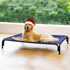 DOPEDIO elevated dog bed outdoors for large dogs provides dry, elevated comfort.