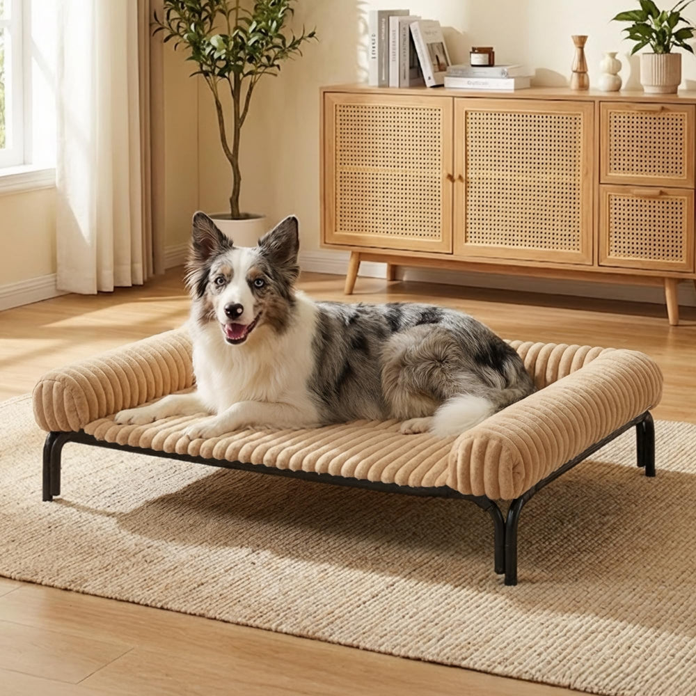DOPEDIO elevated dog bed with removable pillow cushion for snug, supported sleep.