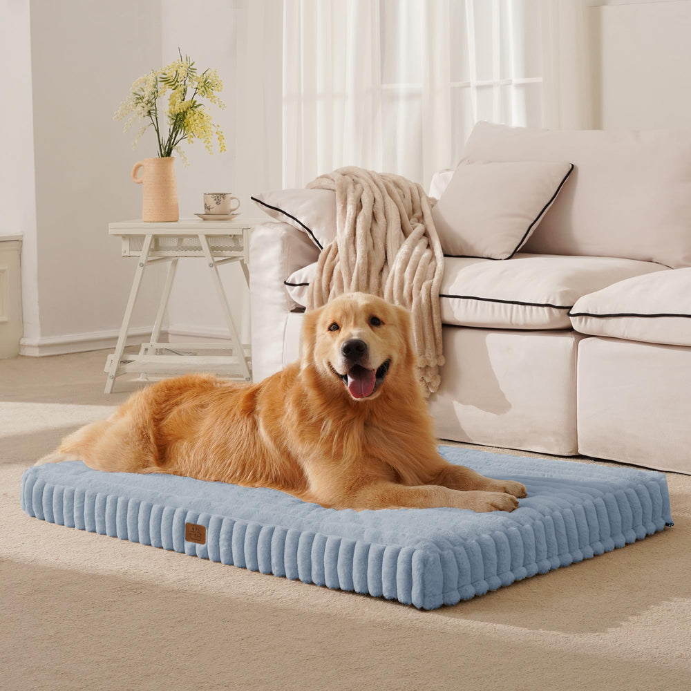 DOPEDIO orthopedic bed with egg-crate foam supporting large dogs.