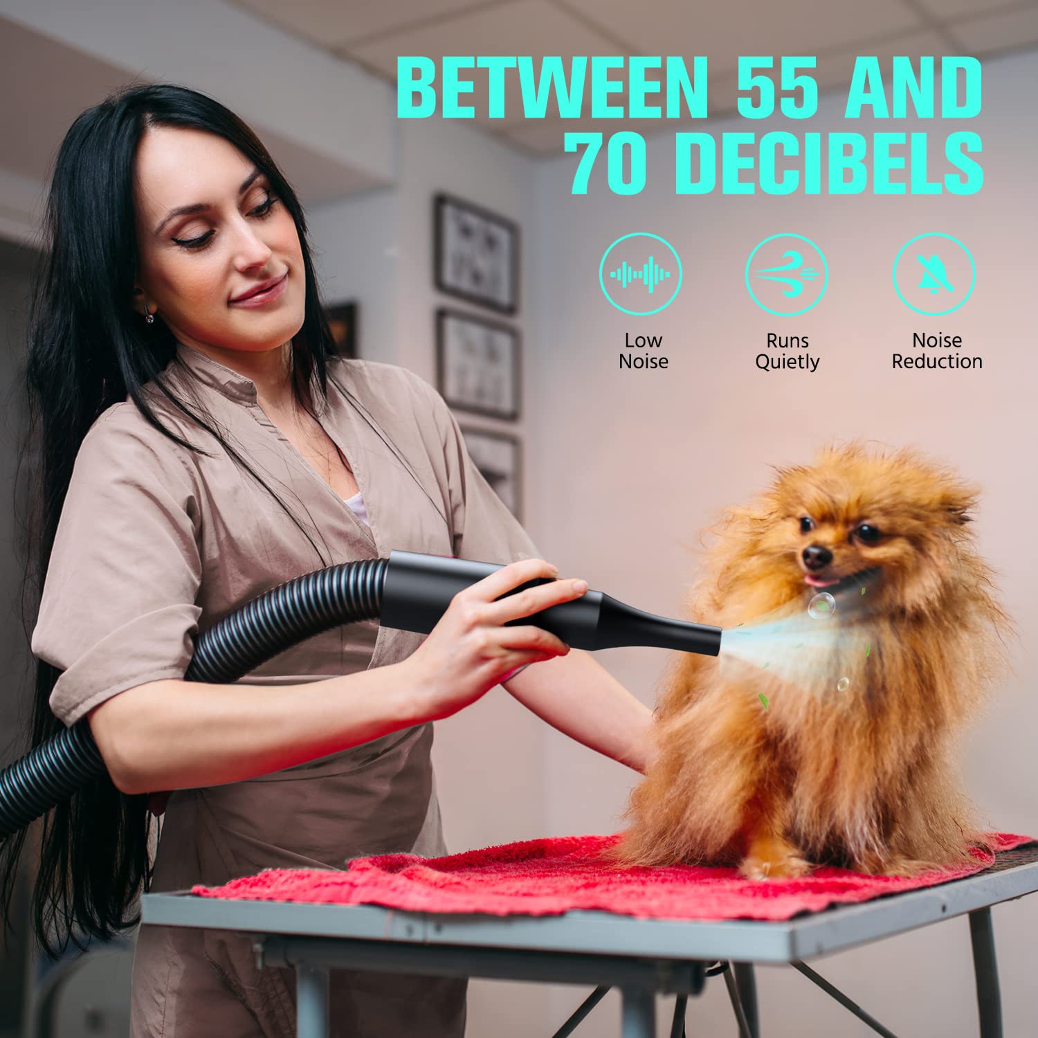 DOPICT pet dryer offers adjustable speed and temperature for coats.