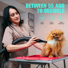 DOPICT pet dryer offers adjustable speed and temperature for coats.