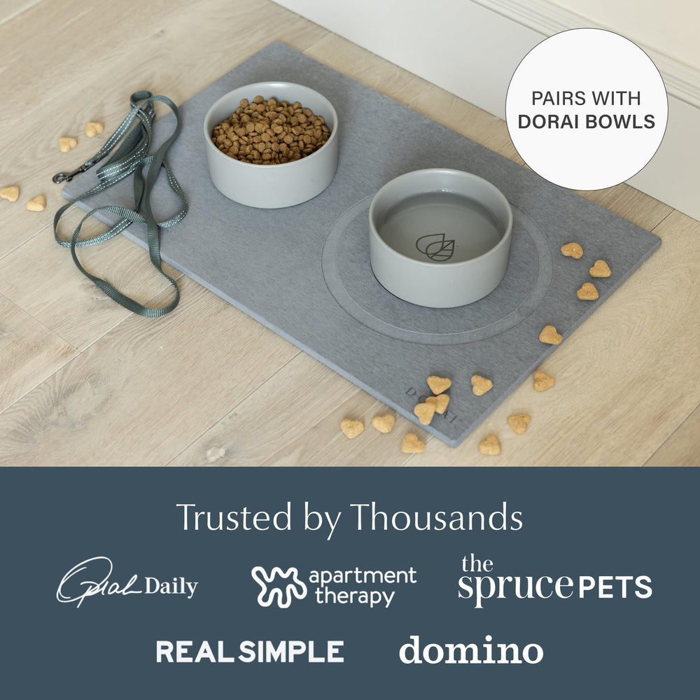 Dorai Stone Drying Mat supports multi-pet homes with a tidy feeding zone