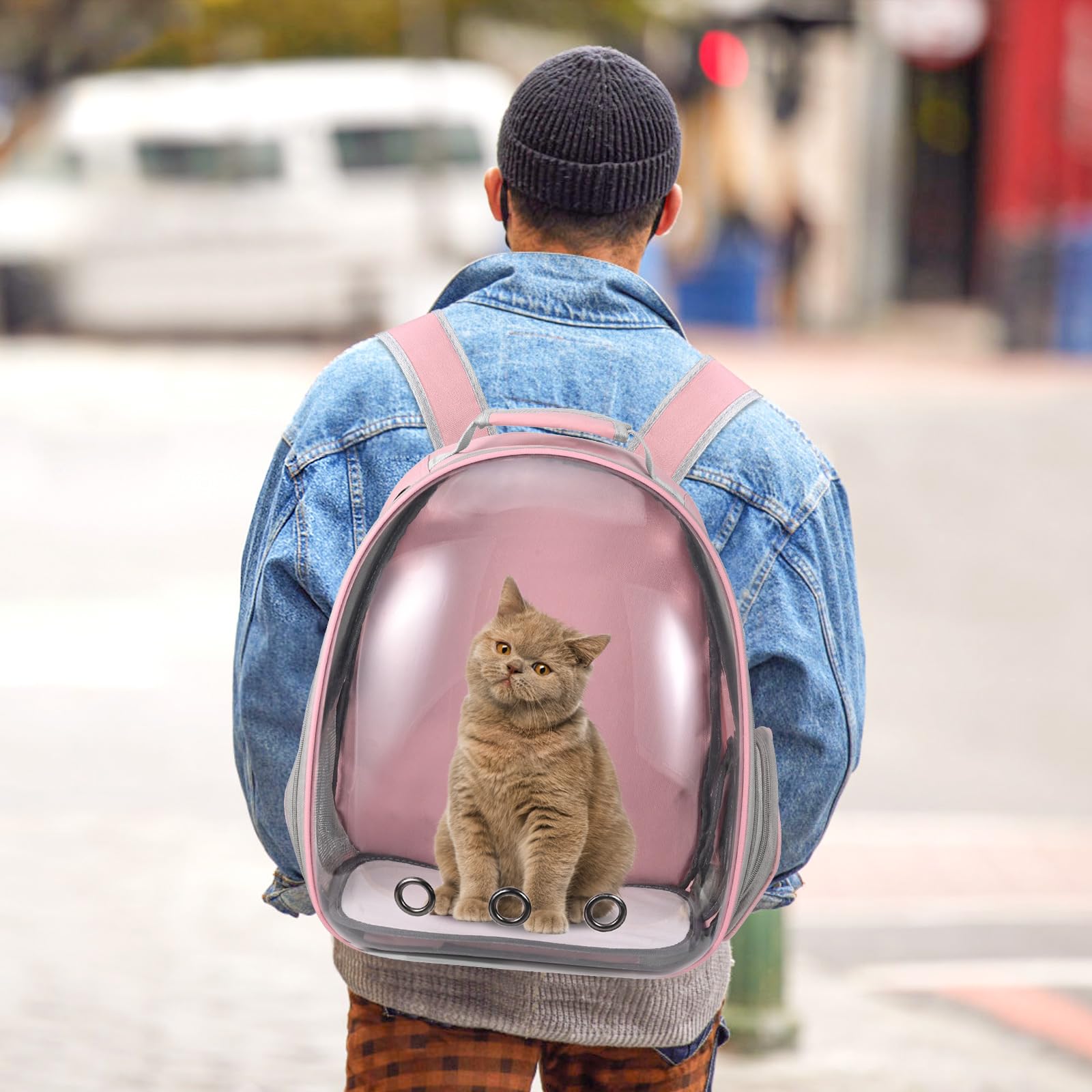 Dorphy Airline-approved carrier supports travel and easy airport security.