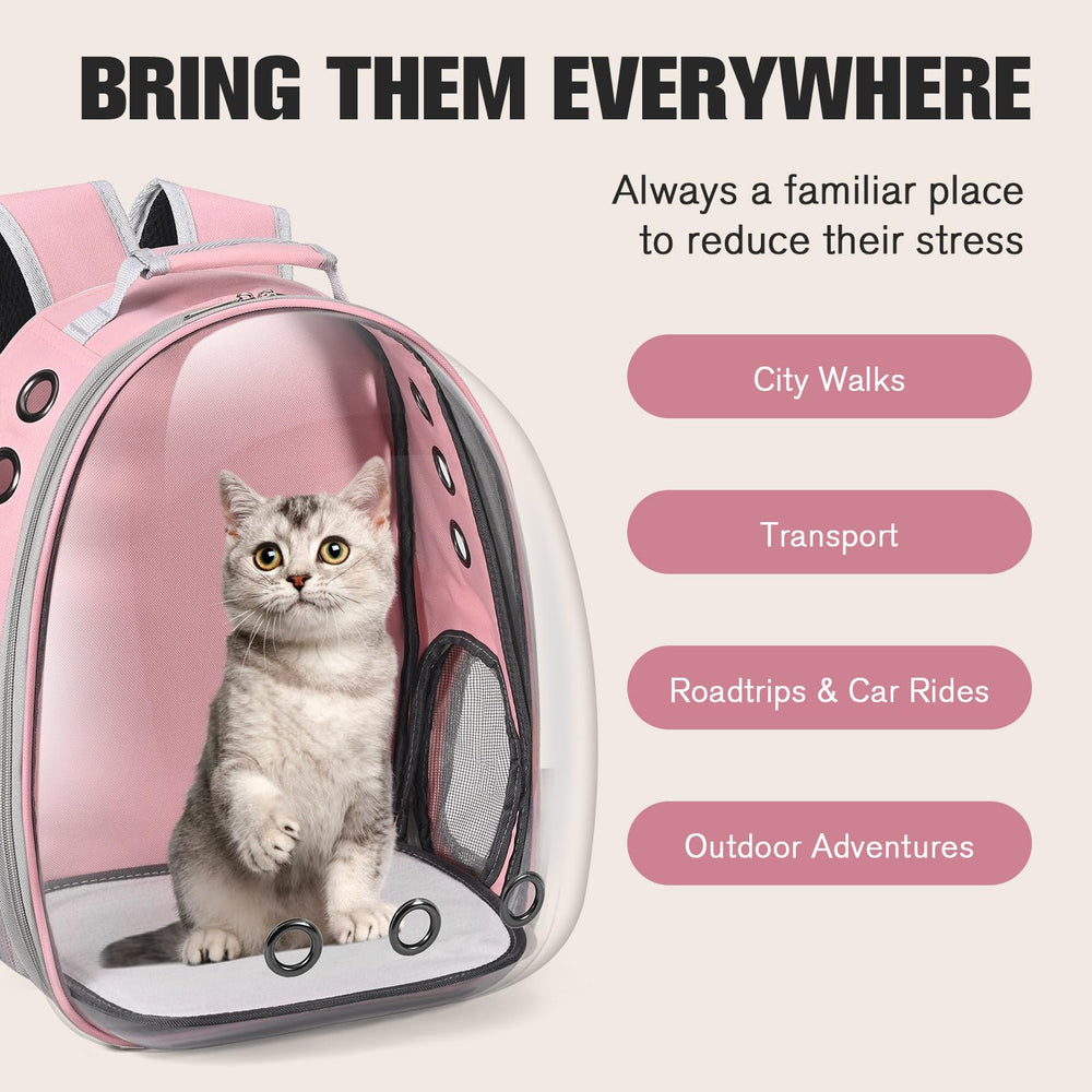 Dorphy Breathable mesh panels keep air flowing for pet comfort.