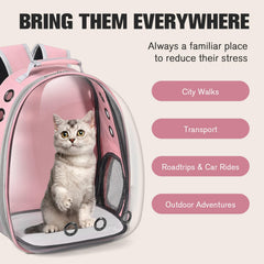 Dorphy Breathable mesh panels keep air flowing for pet comfort.