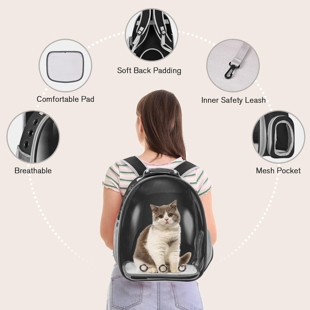 Dorphy ergonomic design reduces shoulder strain with padded back and adjustable straps.