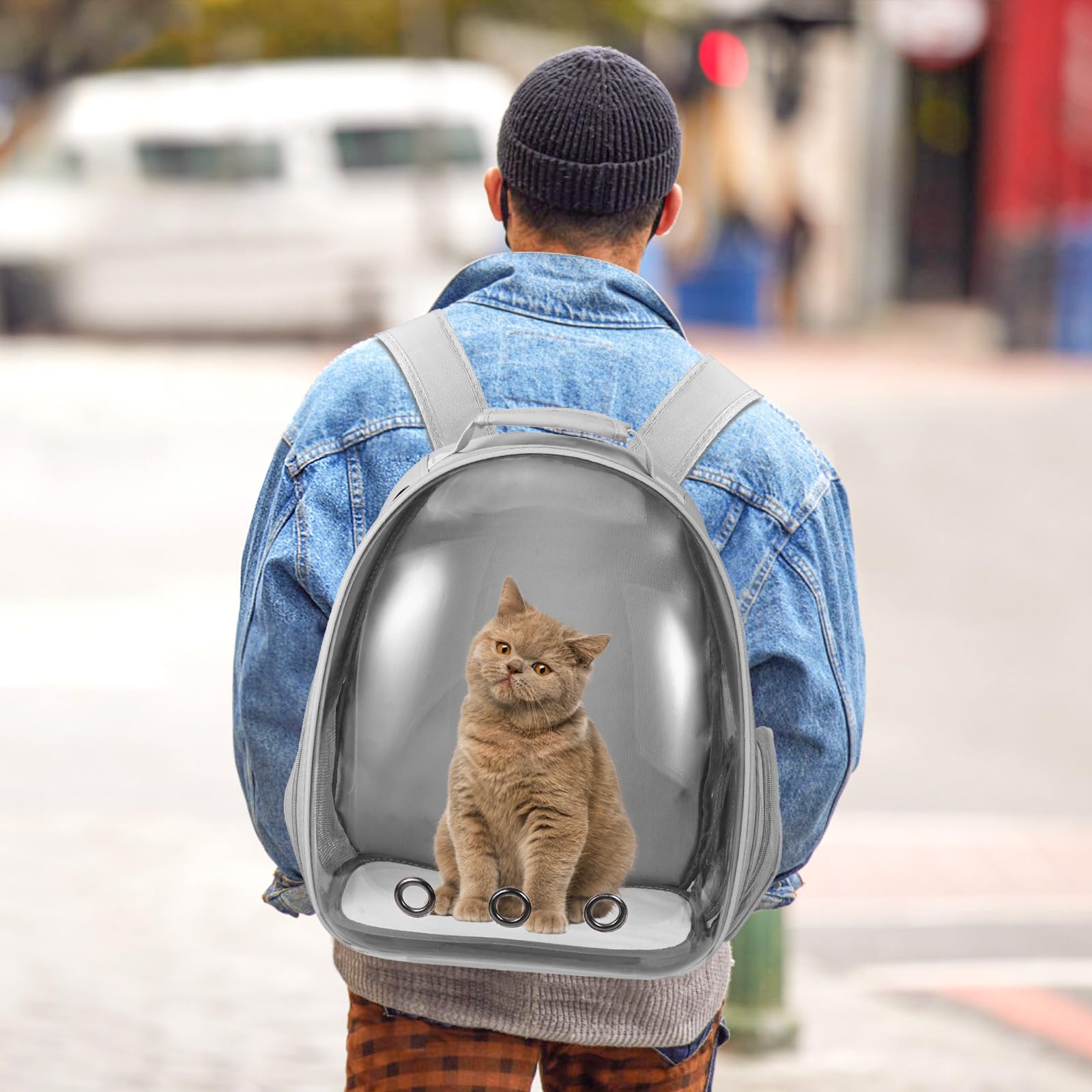 Dorphy converts from front-pack to backpack for flexible transport options.