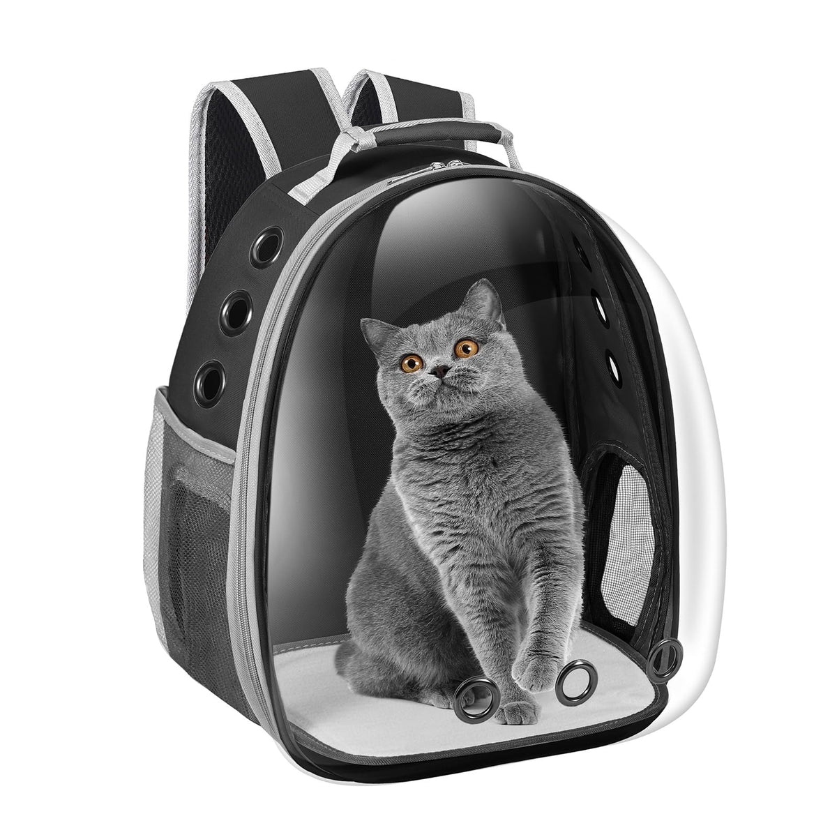 Dorphy Space Capsule Cat Carrier Backpack with transparent window for engaging travel moments.