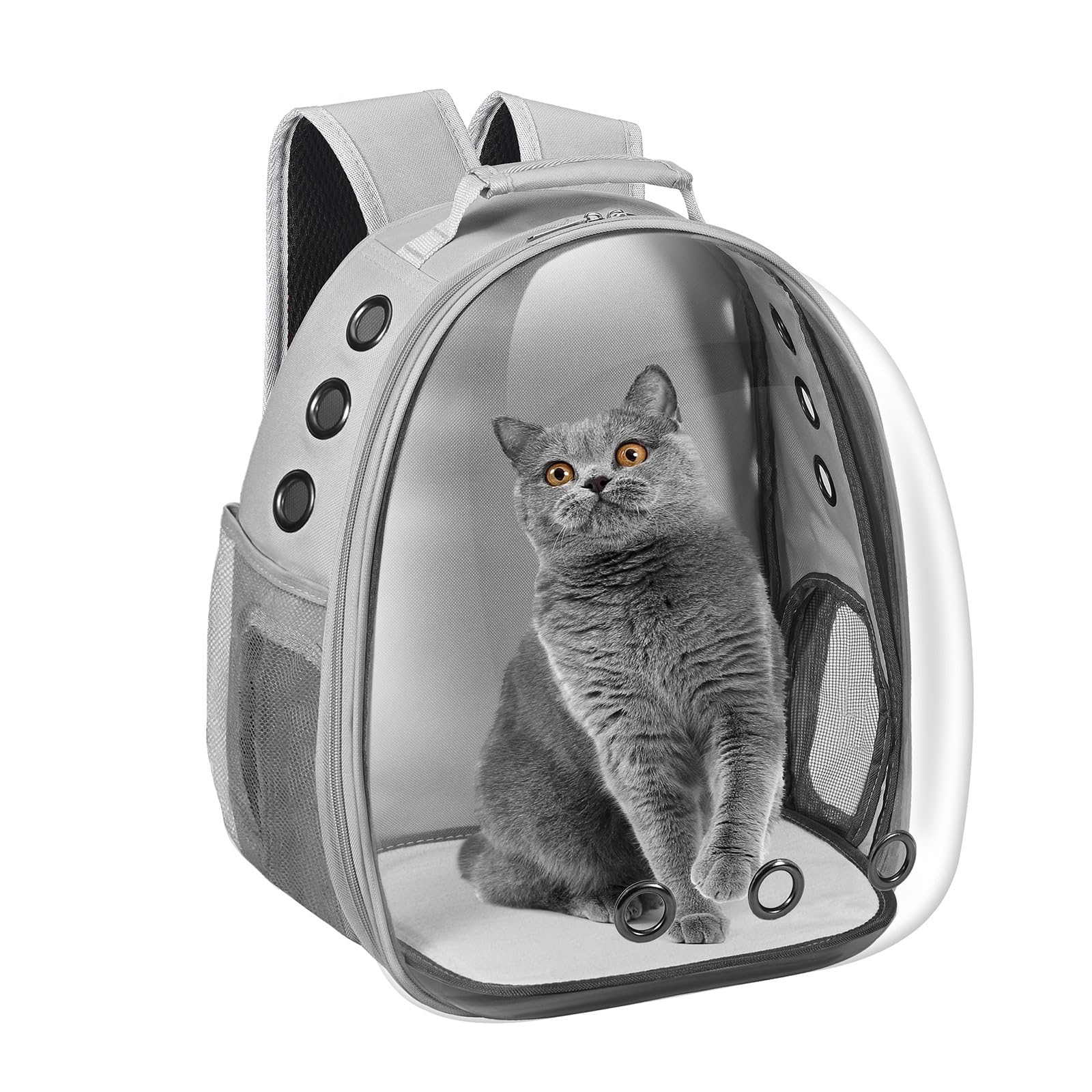 Dorphy Space Capsule cat carrier backpack shows travel-friendly design for pets.