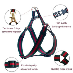 Doryojoy chest-adjustable harness ensuring a secure, snug fit.