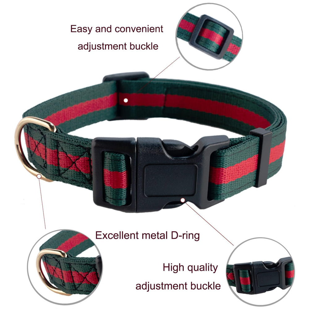 Doryojoy dog leash offers reliable control during outings.