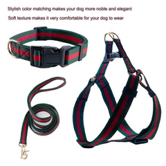 Doryojoy luxury harness set adds stylish visibility and comfort.