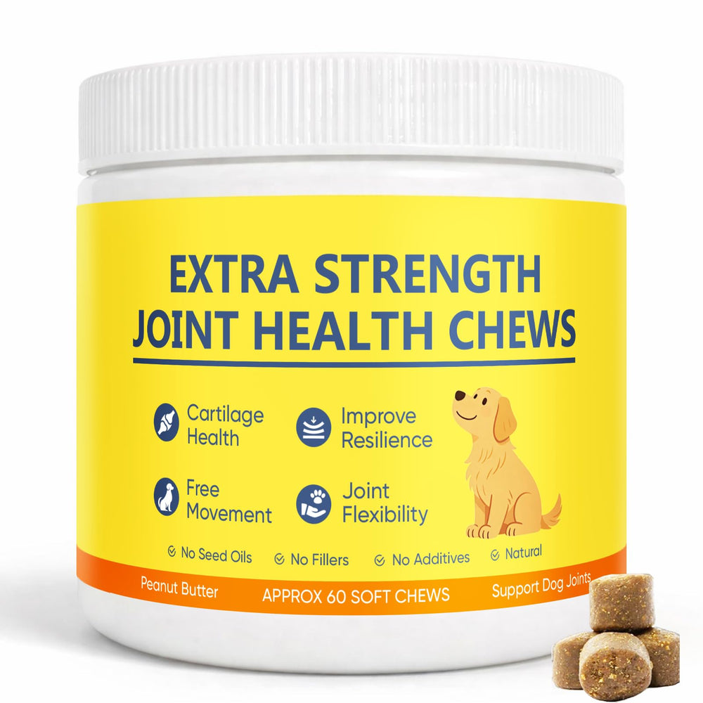 Dotkara Extra Strength Joint Chews packaging shown, offering daily dog joint support in a resealable tub.