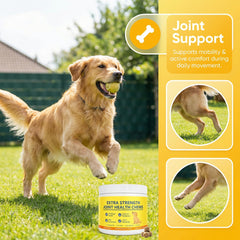 Dotkara chews with MSM and collagen peptides highlighted, supporting overall comfort.