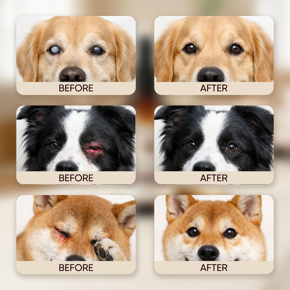 Dotkara Optikind Vision Drops liquid form blends easily with dog food.