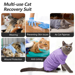 Dotoner purple M recovery suit designed for female spay recovery