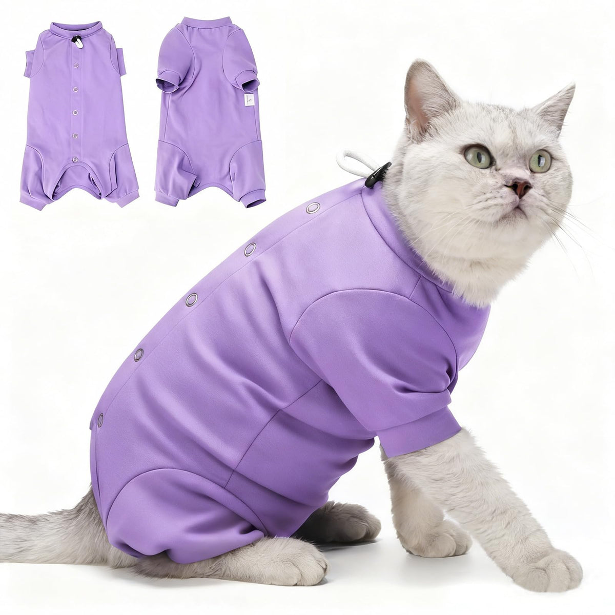 Dotoner cat recovery suit offers safety-focused wound protection after surgery