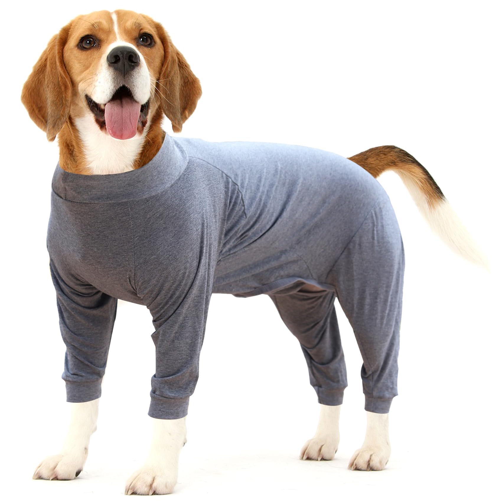 Dotoner dog recovery suit abdominal protection after surgery.