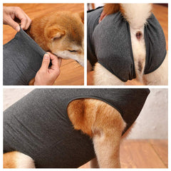 Dotoner dog recovery suit grey XL back view; adjustable button row for a snug fit.