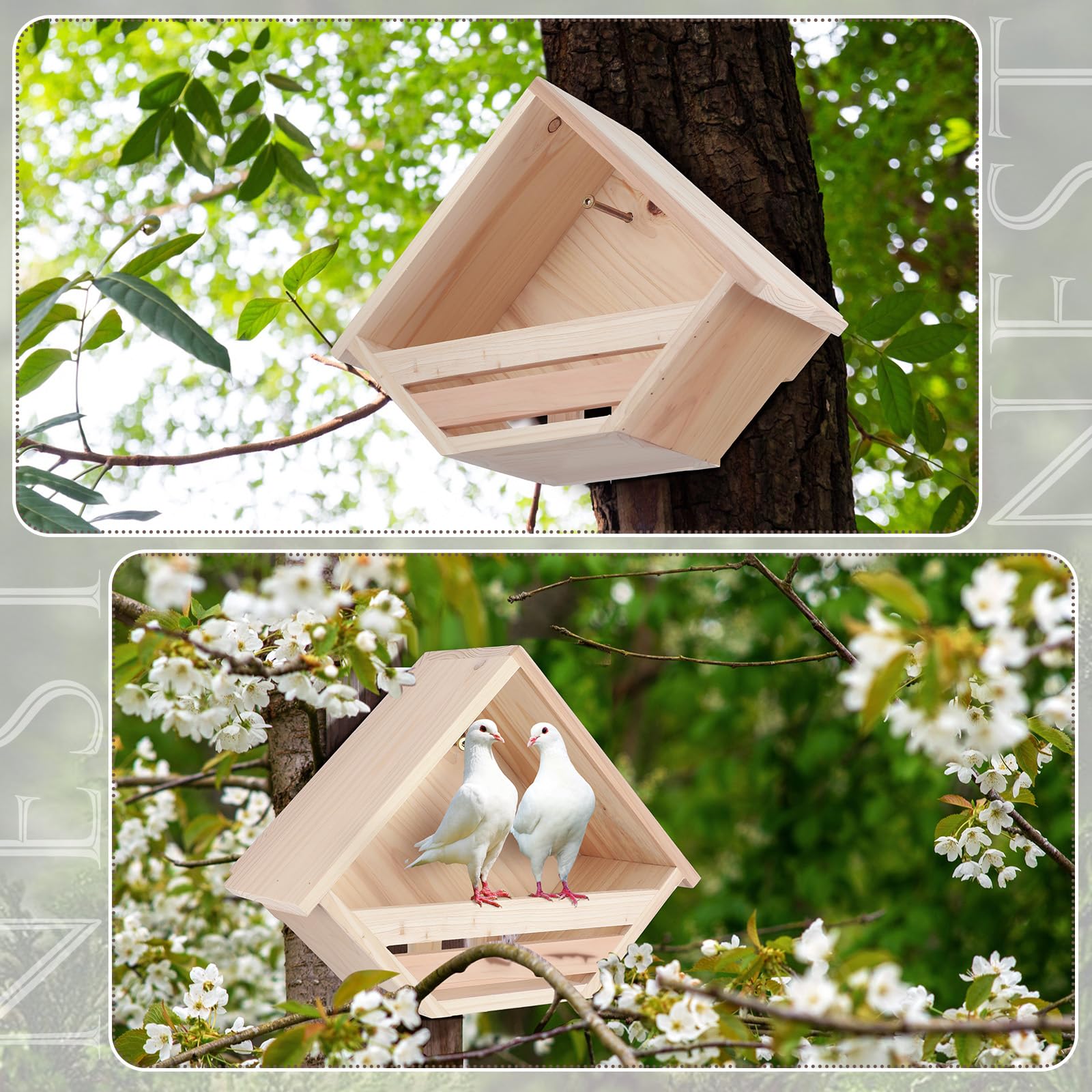 DoubleFill Cedar Dove Nesting Box installed under eaves; sheltered nesting option