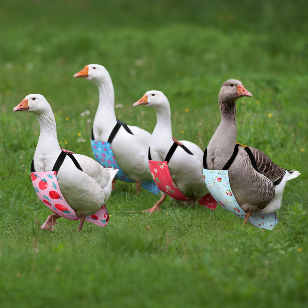 DoubleFill strawberry-pattern diaper for lively poultry indoors