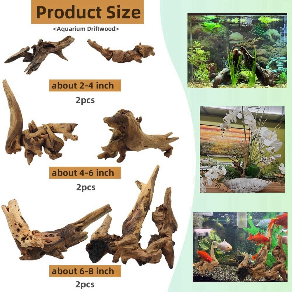 DoubleWood driftwood branch 2-4 inch adds authentic terrarium texture and climbing options.