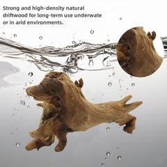 DoubleWood driftwood branch 4-6 inch enhances tank landscape and reptile climbing.
