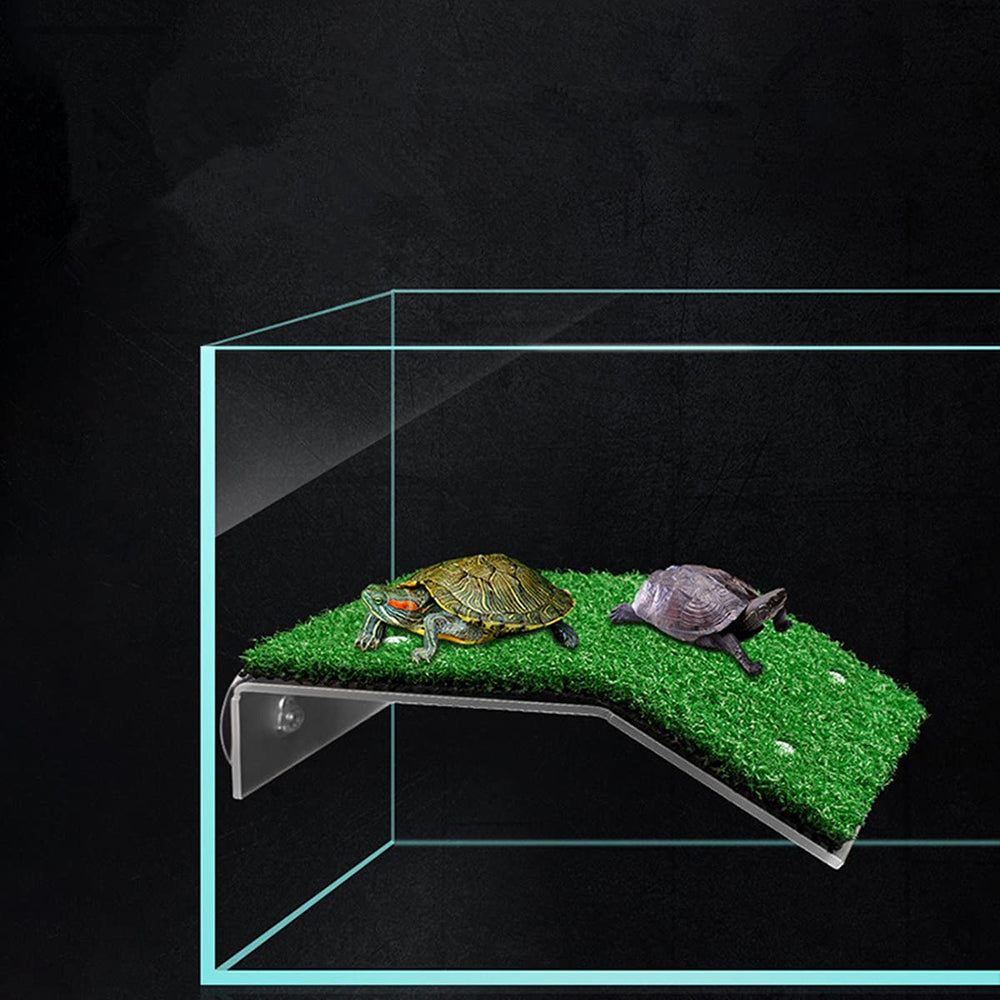 DoubleWood Turtle Ramp for small reptile offers easy climb and safe basking.