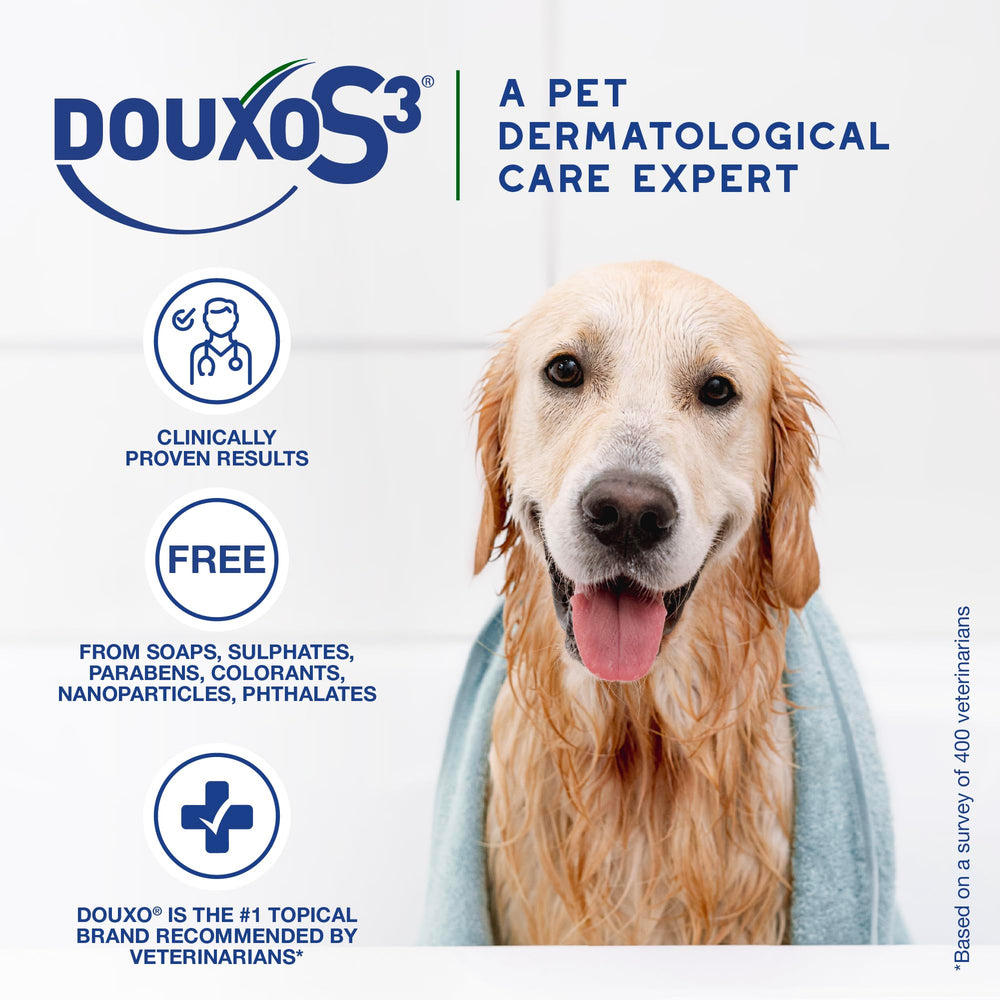 Applying Douxo S3 Seb Shampoo during bath to control sebum