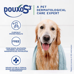 Applying Douxo S3 Seb Shampoo during bath to control sebum
